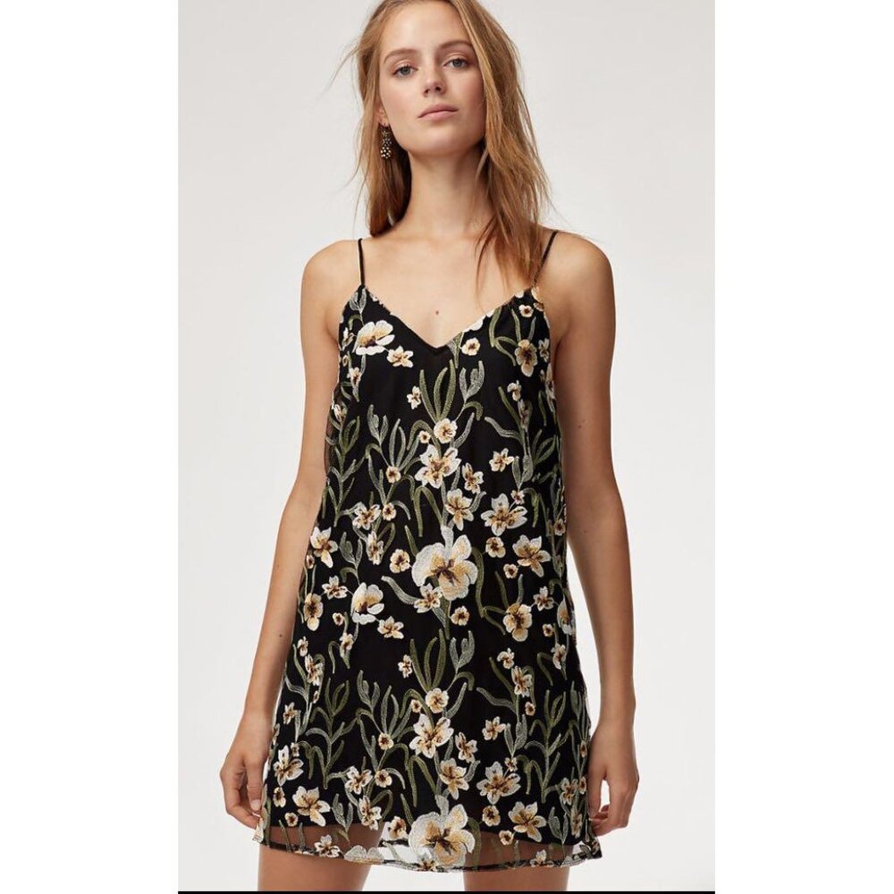 Little Moon Cheyenne Embroidered Mini Slip Dress